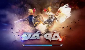 Đá Gà 3D Tại M8Win