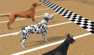 Đua Chó Tại M8Win