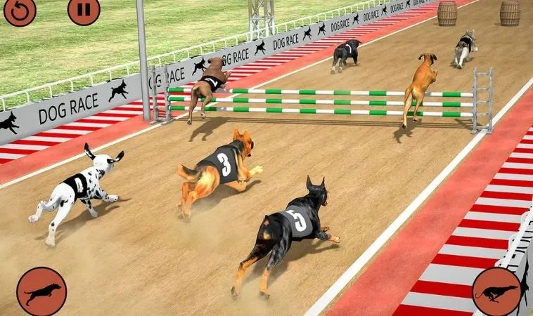 Cách chơi game nhanh Đua Chó Tại M8Win